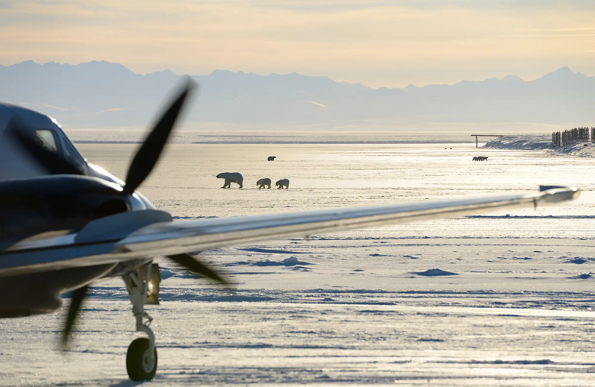 GTGAviation_career_why